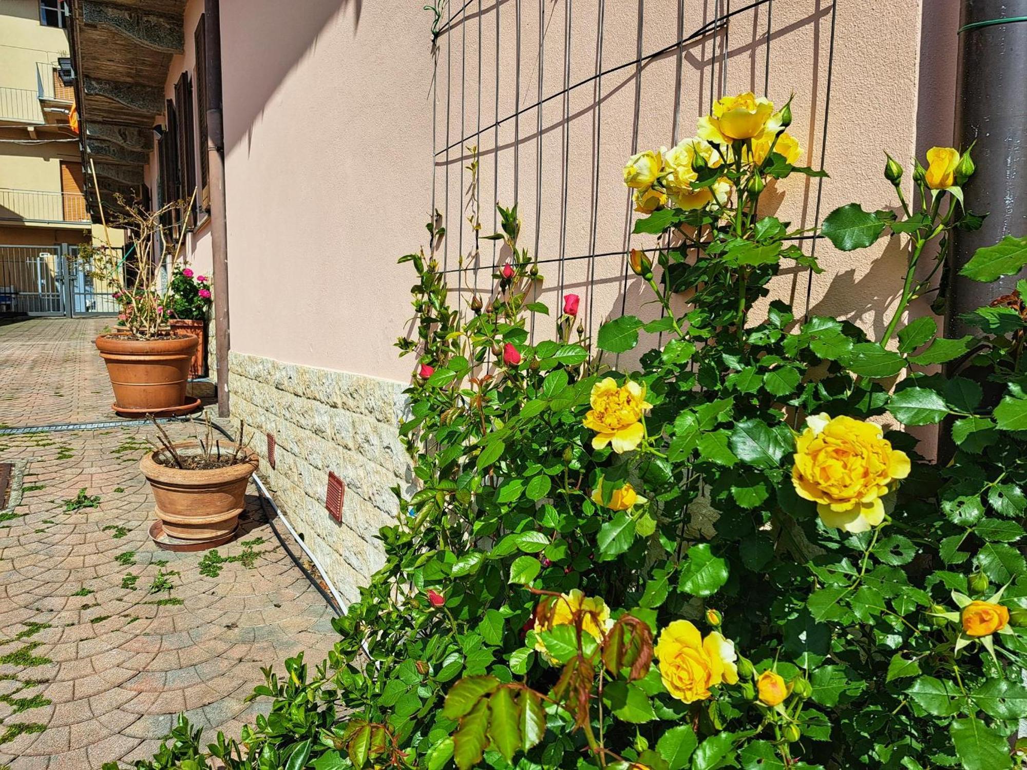 Le Rose Sul Lago Pescate Εξωτερικό φωτογραφία