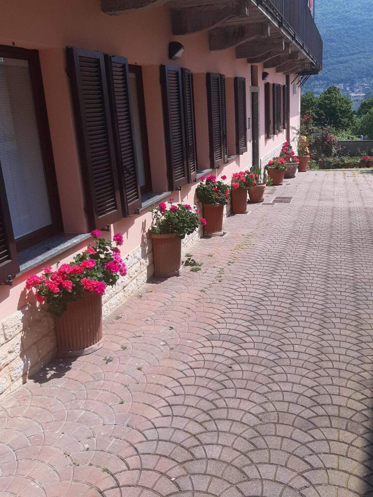 Le Rose Sul Lago Pescate Εξωτερικό φωτογραφία