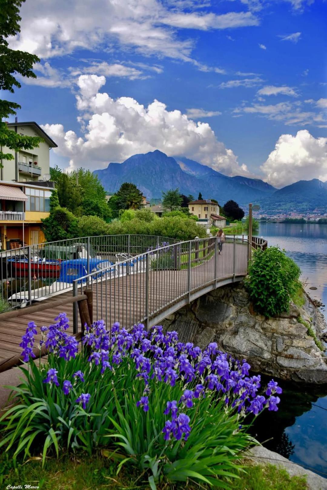 Le Rose Sul Lago Pescate Εξωτερικό φωτογραφία